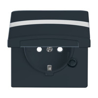 Busch-Jaeger Schutzkontakt-Steckdoseneinsatz Typ F 20 EUGKBN-35-101 anthrazit, Retail