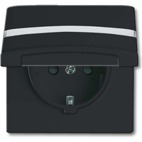 Busch-Jaeger Schutzkontakt-Steckdoseneinsatz Typ F 20 EUGKBN-35-101 anthrazit, Retail