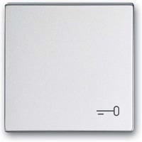 Busch-Jaeger Wippe mit Aufdruck aluminium, Retail