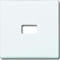 Busch-Jaeger Wippe offen für Symbol weiß, Retail