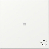 Gira Wippe mit Kontrollfenster und Symbol für schaltbare Steckdose weiß, Retail