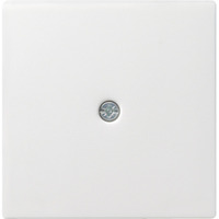 Gira Zentraleinsatz für Schnurableitung, Zentralplatte weiß (glänzend), Retail