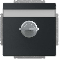 Busch-Jaeger Schutzkontakt-Steckdose Einsatz 20 EUKNBSL-885 schwarz, Retail