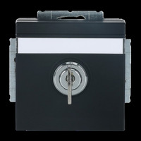 Busch-Jaeger Schutzkontakt-Steckdose Einsatz 20 EUKNBSL-885 schwarz, Retail