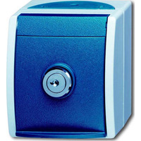 Busch-Jaeger Schutzkontaktsteckdose Typ F 20 EWSL-53 abschließbar blau, Retail