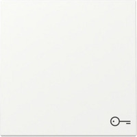 Gira Wippe mit Symbol Tür weiß, Retail