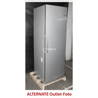 Bosch GSN36VLEP Serie 4, Gefrierschrank edelstahl