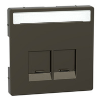 Merten Zentralplatte 2fach mit Schriftfeld und integrierten Verschlussschiebern bronze, Retail