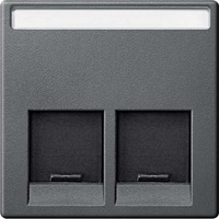 Merten Zentralplatte zweifach anthrazit, Retail