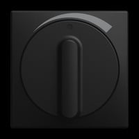 Busch-Jaeger Zentralscheibe 1740 Drehregler 03-915, Abdeckung schwarz, Retail