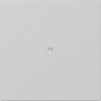 Gira Wippe gerade Kontrollfenster grau, Retail