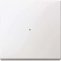 Merten Wippe, einteilige Ausführung, 1-fach, System M, Typ MEG5210-0319 weiß (glänzend), Retail