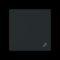 Busch-Jaeger Wippe geschlossen mit Symbol, Schalter schwarz, Retail