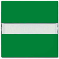 Busch-Jaeger Wippe 2510 NLI-13-914 grün, Retail