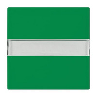 Busch-Jaeger Wippe 2510 NLI-13-914 grün, Retail