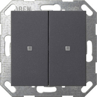 Gira Taster mit Wippe zweifach für Gira One und KNX System 55 anthrazit, Retail