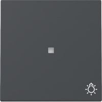 Gira Wippe Kontrollfenster und Symbol anthrazit, Retail