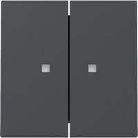 Gira Wippe zweifach mit Kontrollfenster anthrazit, Retail