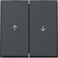 Gira Wippe zweifach mit zwei Pfeilsymbolen anthrazit, Retail