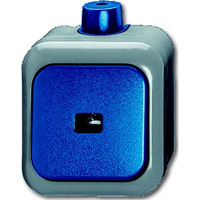 Busch-Jaeger Wipptaster Schließer einpolig Aufputz 2621 WDI Retail