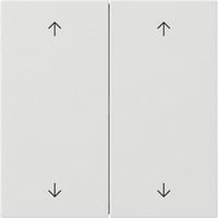 Gira Wippe zweifach mit Pfeilsymbolen Flächenschalter weiß, Retail