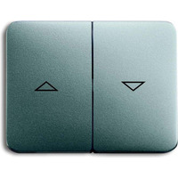 Busch-Jaeger Wippe für Jalousieschalter und Taster titan, Retail