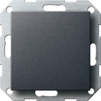 Gira Blindabdeckung mit Tragring, nur für Schraubbefestigung, System 55, Typ 026828 anthrazit, Retail