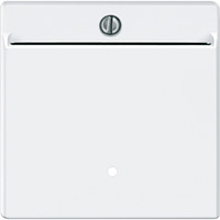 Merten Karten-Schalter beleuchtbar weiß, Retail