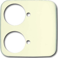 Busch-Jaeger Zentralscheibe, Rahmen weiß, Retail