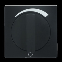 Busch-Jaeger Zentralscheibe mit Drehknopf und Aufdruck, Abdeckung schwarz, Retail