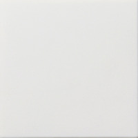 Gira Blindabdeckung mit Tragring ohne Farbangabe glänzend für Schraubbefestigung weiß (glänzend), Retail