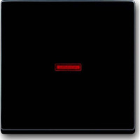 Busch-Jaeger Kontrollwippe einteilige Wippe Aus, Wechselschalter, Kreuzschalter, Taster anthrazit, Retail