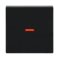 Busch-Jaeger Kontrollwippe einteilige Wippe Aus, Wechselschalter, Kreuzschalter, Taster anthrazit, Retail