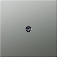 Gira Abdeckung Schutzkontakt Steckdose Edelstahl, Zentralplatte edelstahl, Retail