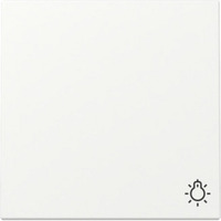 Gira Wippe Symbol Licht weiß, Retail