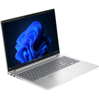 HP ProBook 4 G2a 16 AI (E04G9ET), Notebook silber, AMD Ryzen 7 250, AMD Radeon 780M, 32 GB LPDDR5X, 512 GB (512 GB SSD), Windows 11 Pro
