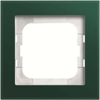 Busch-Jaeger Abdeckrahmen 1-fach grün, Retail