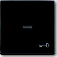 Busch-Jaeger Wippe anthrazit, Retail