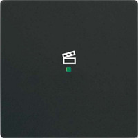 Busch-Jaeger Wippe future linear schwarz, Retail