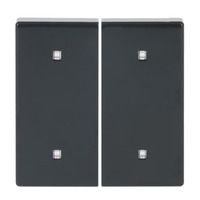 Busch-Jaeger Wippe zwei fach Elektroniktaster anthrazit, Retail