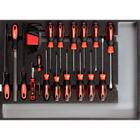 GEDORE Werkzeugsatz Schraubendreher + Feilen in CT-Modul, 26-teilig, Werkzeug-Set schwarz/rot, (R22350002)