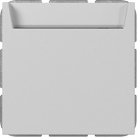 Gira Hotel-Card Schließer mit Neutralleiterklemme Schalter einpolig, Taster grau, Retail
