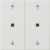 Gira Wippe zwei fach mit Pfeilsymbolen und Kontrollfenster weiß, Retail