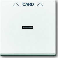 Busch-Jaeger Zentralscheibe für Cardschalter 1792-84 Retail