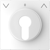 Merten Zentralplatte weiß, Retail