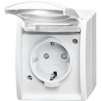 Busch-Jaeger Steckdose mit Klappdeckel CEE 7/3 Typ F 20 EBW-54 weiß, Retail