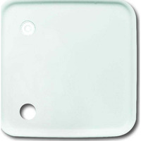 Busch-Jaeger Zentralscheibe Abdeckung für Zugtaster, Zentralplatte weiß, Retail