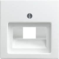 Busch-Jaeger Zentralscheibe alpinweiß für Datenkommunikation Typ 1803-914, Unterputz, Kunststoff, Abdeckung weiß (glänzend), Retail