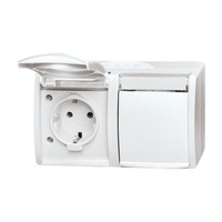 Busch-Jaeger Steckdose zweifach waagerecht Typ 20/2 EWN-54 mit Schutzkontakt und Beschriftungsfeld weiß, Retail