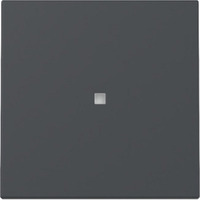 Gira Wippe Kontrollfenster anthrazit, Retail